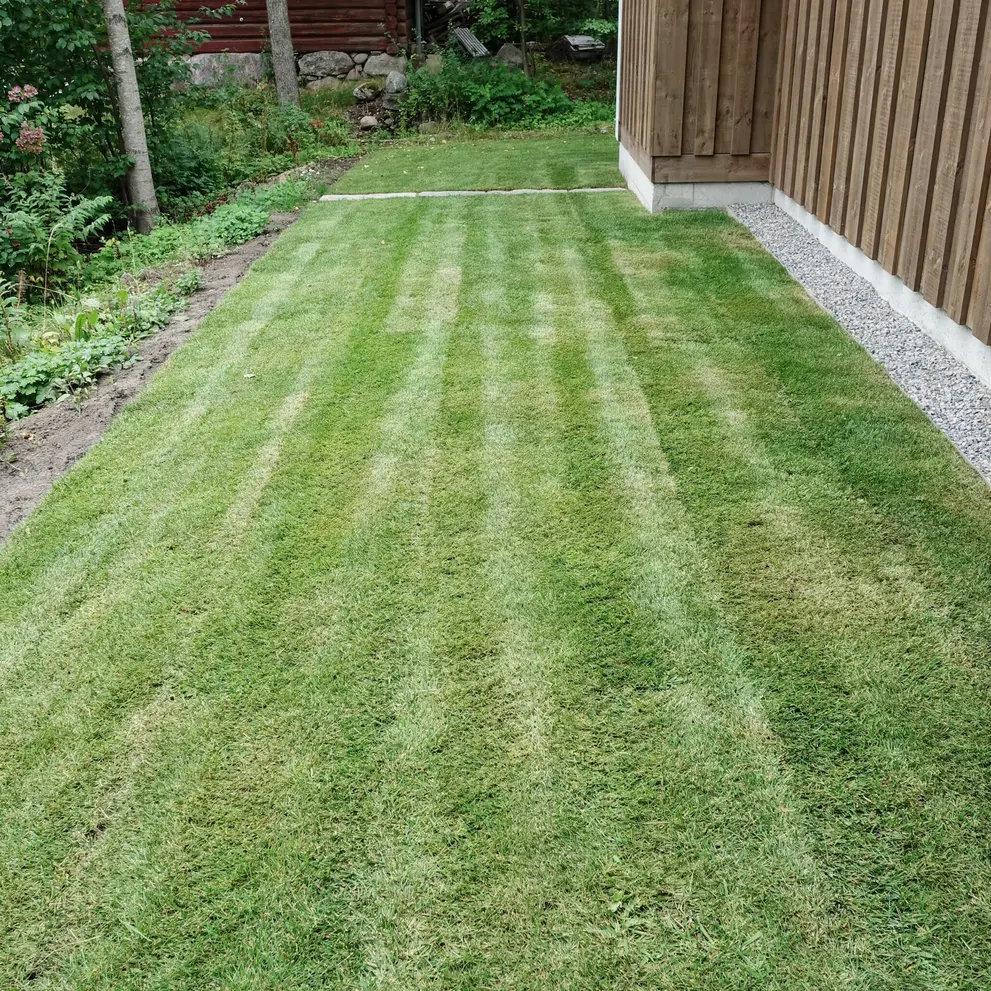 grasklippning haninge