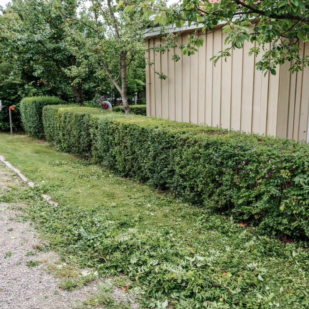 hackklippning haninge